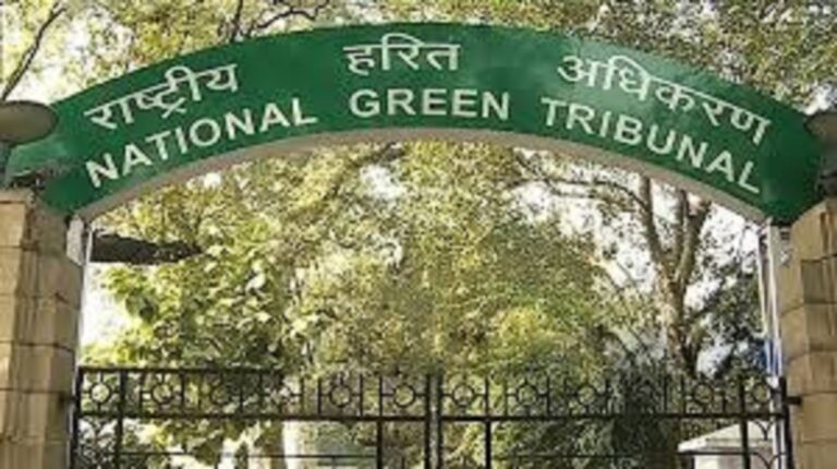 NGT takes suo motu action over deadly illegal coal mine blast in Meghalaya
